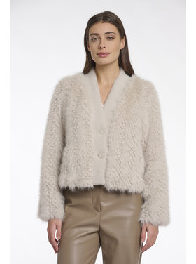 Rino & Pelle Chaimae.7002512