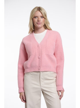 Rino & Pelle Isarea.5002621