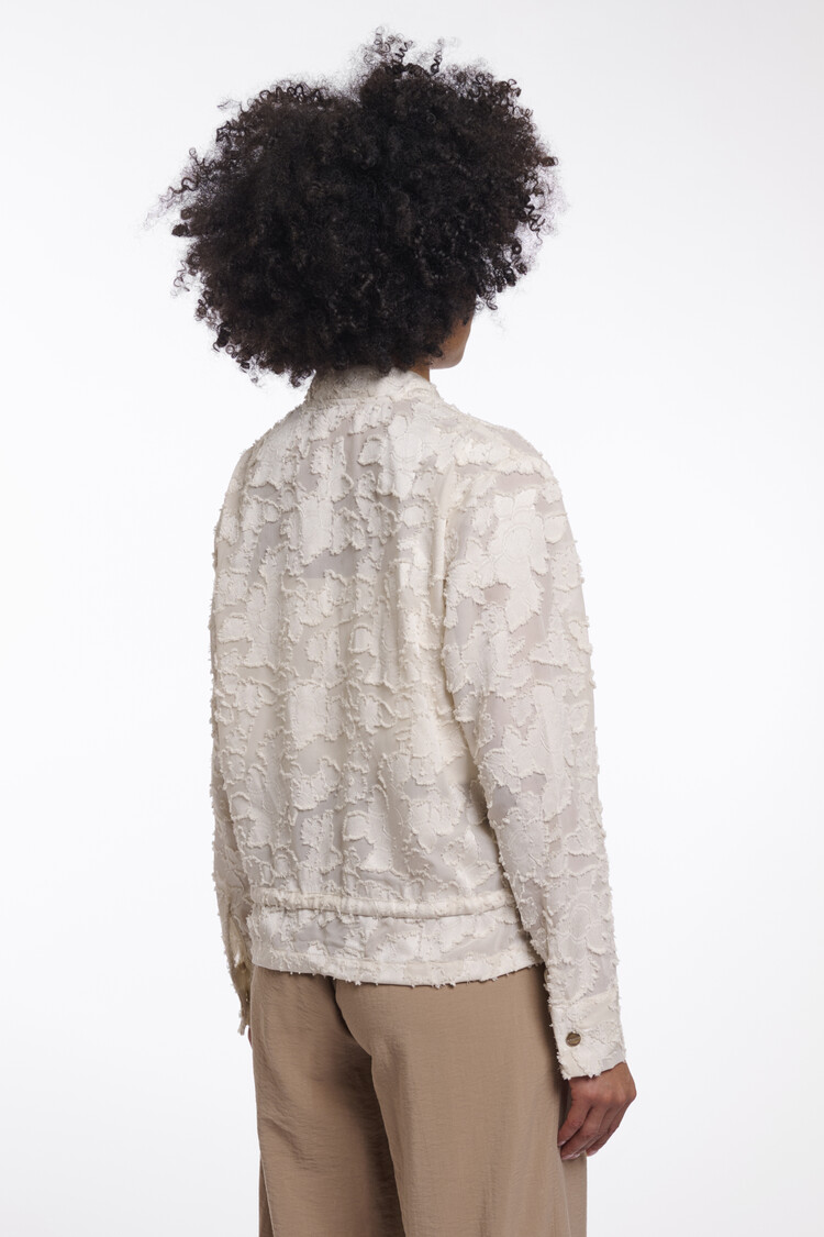 Rino & Pelle Priori.7002621