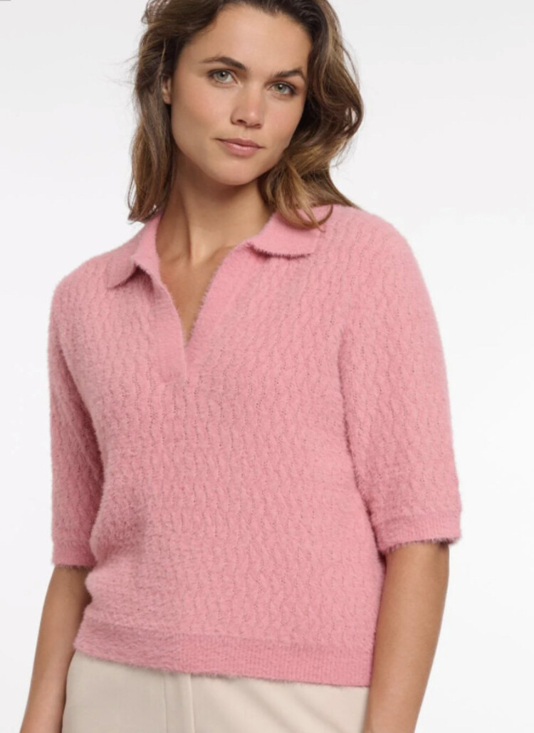 Rino & Pelle Moisa.5002622