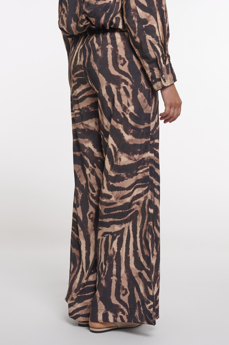 Rino & Pelle DarjaShort.7002621