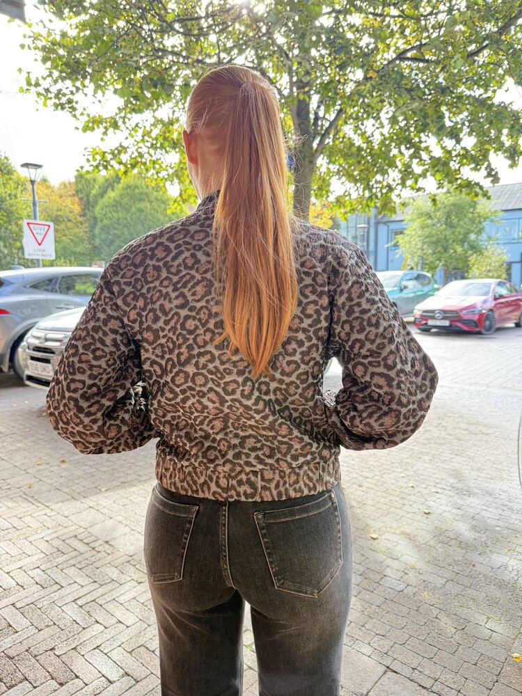 Red Button SRB5149 Bomber Jacquard Lurex