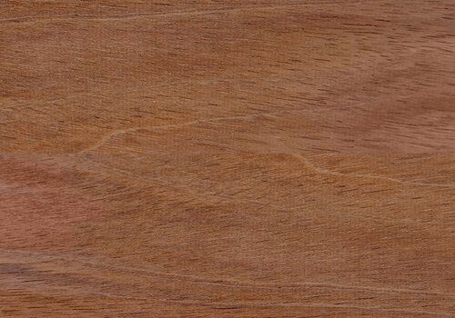 Jatoba