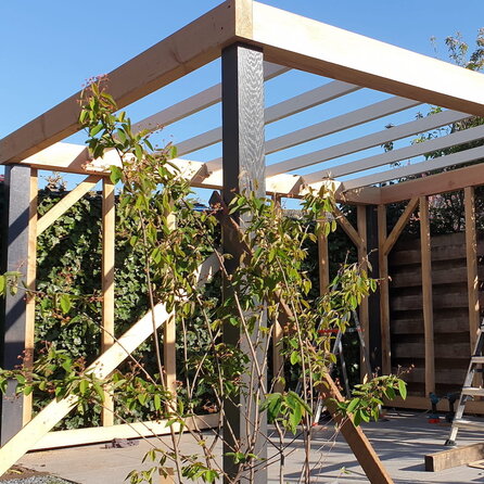 Douglasie Balken - 45x70 mm - Douglasieholz Bohlen gehobelt (glatt) - HF 18-20% (KD)