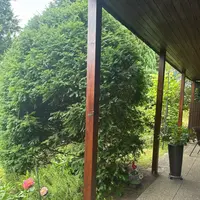 Custom photo 8 Custom photo 8