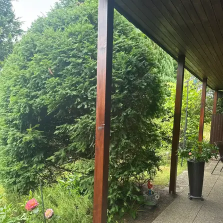 Douglasie Balken - 110x110 mm - Douglasieholz Bohlen gehobelt (glatt) - HF 18-20% (KD) Douglasie Balken - 110x110 mm - Douglasieholz Bohlen gehobelt (glatt) - HF 18-20% (KD)