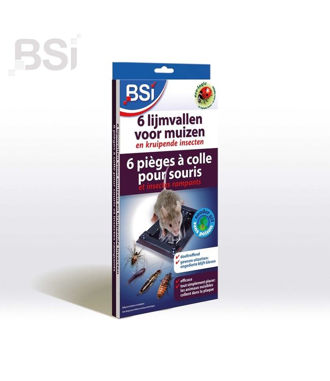 BSI Lijmvallen voor muizen, 6 stuks