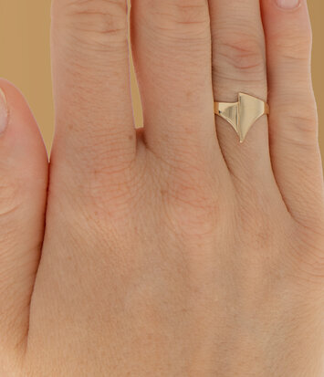 Geelgouden ring small - Archi