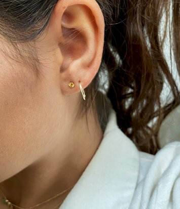 14 karaat geelgouden oorstekers - Jackie  - Citrien Studs
