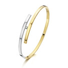 14 karaat geel/witgouden armband met diamant - Recht 3 mm - Fjory-1