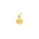 14 karaat geelgouden dames ketting met Seashell - Jackie-4