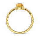 14 karaat geelgouden ring met Citrien - Hutjens-4