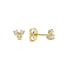 14 karaat geelgouden oorstekers - Jackie  - Triangle Topaz Studs-3