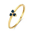 14 karaat geelgouden - Triangle Sapphire Ring - Jackie-1