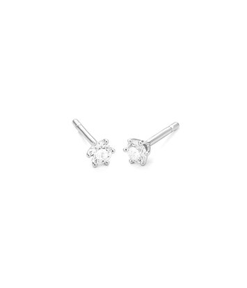 18 karaat witgouden oorstekers  - 0.60ct. - 6 poot chaton