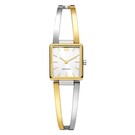 Danish Design - Horloge Dames - Palma Two Tone - IV65Q1304-1