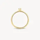14 karaat geelgouden ring - Blush - 1112YZI 14 karaat geelgouden ring - Blush - 1112YZI-3