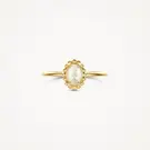 14 karaat geelgouden ring - Blush - 1272YMQ 14 karaat geelgouden ring - Blush - 1272YMQ-4