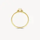 14 karaat geelgouden ring - Blush - 1272YMQ 14 karaat geelgouden ring - Blush - 1272YMQ-5