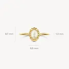 14 karaat geelgouden ring - Blush - 1272YMQ 14 karaat geelgouden ring - Blush - 1272YMQ-6