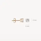 14 karaat roségouden oorstekers - Blush - 7127RZI-4