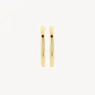 14 karaat geelgouden oorstekers - Blush - 7274YGO-3