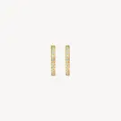 14 karaat geelgouden oorstekers - Blush - 7307YZI-3