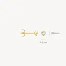 14 karaat geelgouden oorstekers - Blush - 7214YZI 14 karaat geelgouden oorstekers - Blush - 7214YZI-6