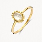 14 karaat geelgouden ring - Blush - 1272YMQ 14 karaat geelgouden ring - Blush - 1272YMQ-1