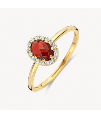 14 karaat geelgouden ring - Blush - 1271YGA