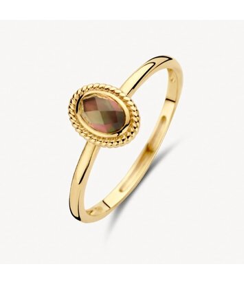 14 karaat geelgouden ring - Blush - 1239YBQ