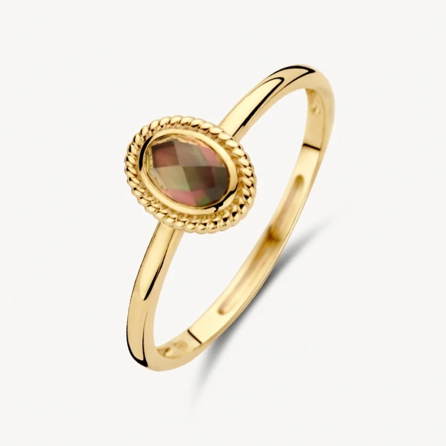 14 karaat geelgouden ring - Blush - 1239YBQ 14 karaat geelgouden ring - Blush - 1239YBQ-1