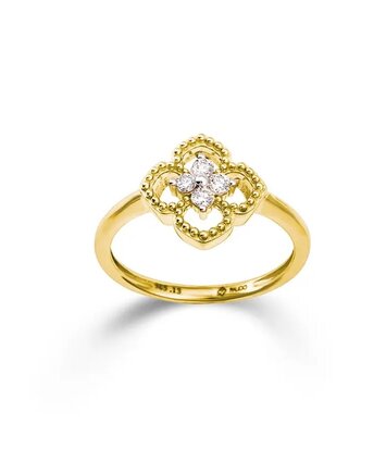 14 karaat geelgouden fantasiering met diamant - 0,14 ct - K13845G