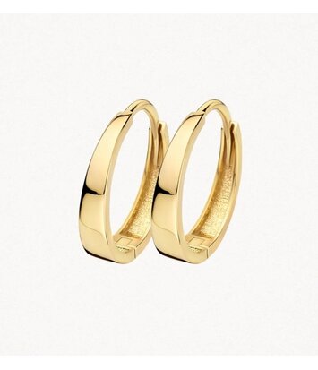 14 karaat geelgouden oorstekers - Blush - 7379YGO