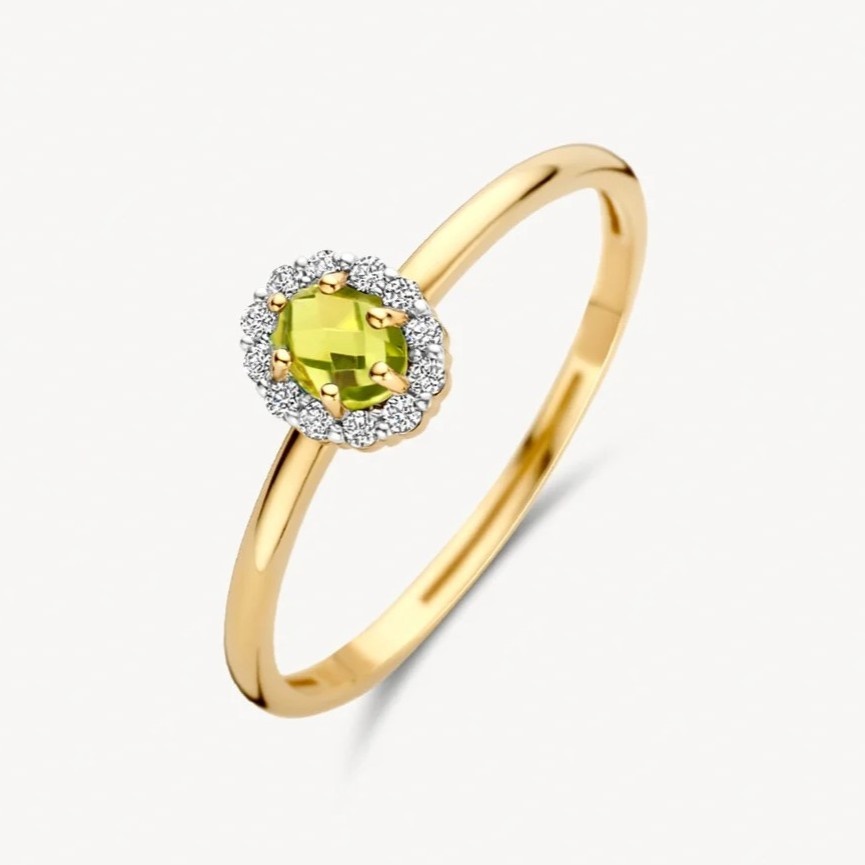 14 karaat geelgouden ring - Blush - 1258YGP 14 karaat geelgouden ring - Blush - 1258YGP-1