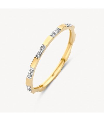 14 karaat geelgouden ring - Blush - 1260YZI