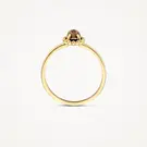 14 karaat geelgouden ring - Blush - 1272YBQ 14 karaat geelgouden ring - Blush - 1272YBQ-5