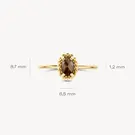 14 karaat geelgouden ring - Blush - 1272YBQ 14 karaat geelgouden ring - Blush - 1272YBQ-6