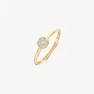 14 karaat geelgouden ring - Blush - 1277YZI 14 karaat geelgouden ring - Blush - 1277YZI-6