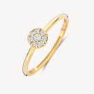 14 karaat geelgouden ring - Blush - 1277YZI 14 karaat geelgouden ring - Blush - 1277YZI-1