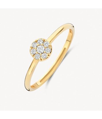 14 karaat geelgouden ring - Blush - 1277YZI