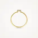 14 karaat geelgouden ring - Blush - 1278YZI 14 karaat geelgouden ring - Blush - 1278YZI-4