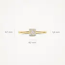 14 karaat geelgouden ring - Blush - 1278YZI 14 karaat geelgouden ring - Blush - 1278YZI-7