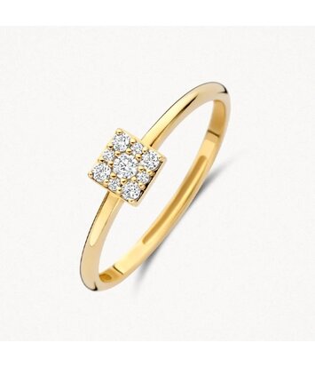 14 karaat geelgouden ring - Blush - 1278YZI