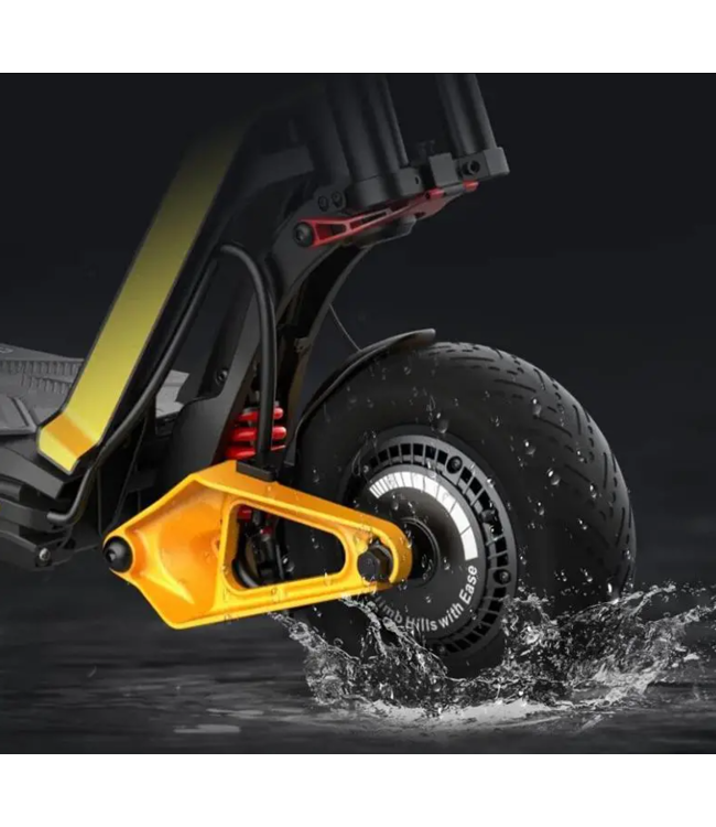 INMOTION INMOTION RS