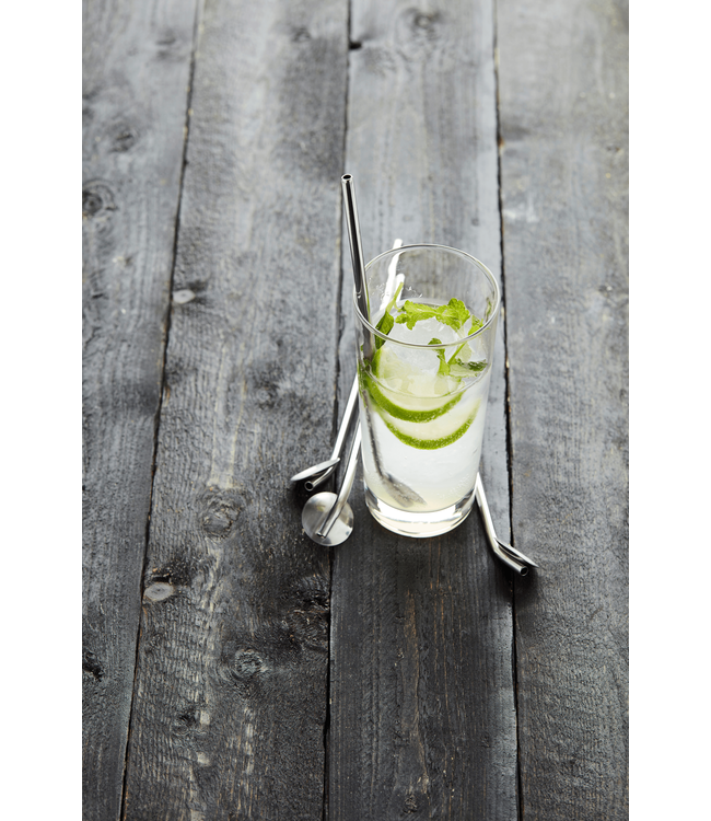 Point-Virgule Point-Virgule set van 4 cocktaillepels/rietjes rvs met reinigingsborstel