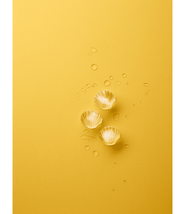 Lekue Lekue ijsblokjes vorm met deksel uit rubber voor 11 schelpen  22x11x2.3 cm