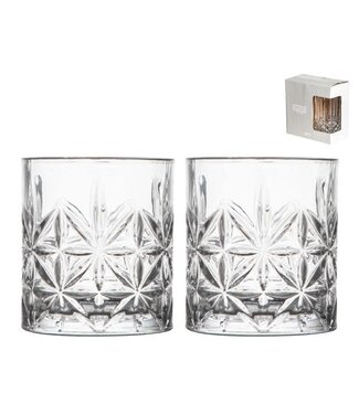 Gusta Gusta water-/whisky glazen set 2 stuks 300 ml
