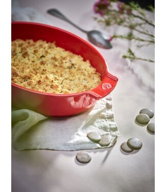 Peugeot Peugeot Appolia ovenschaal aardewerk  ovaal rood