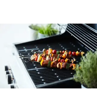 BARBECOOK Barbecook set van 10 spiesen RVS
